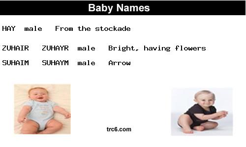 hay baby names